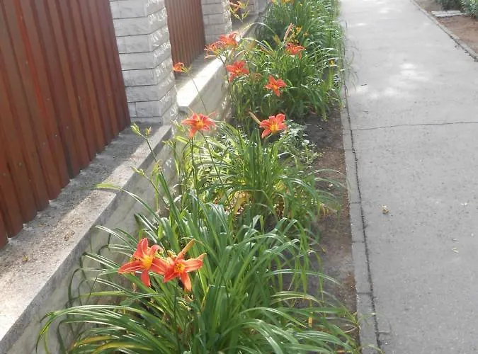 Aranyeso Vendeghaz Csorbai 3*