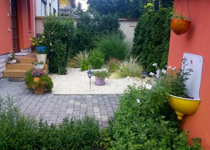 Aranyeső Csorbai Budapest